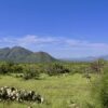 Arizona Land For Sale By Owner